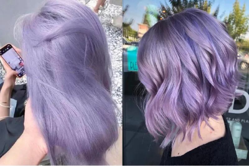 Màu tím khói - Sự lựa chọn độc đáo và trendy