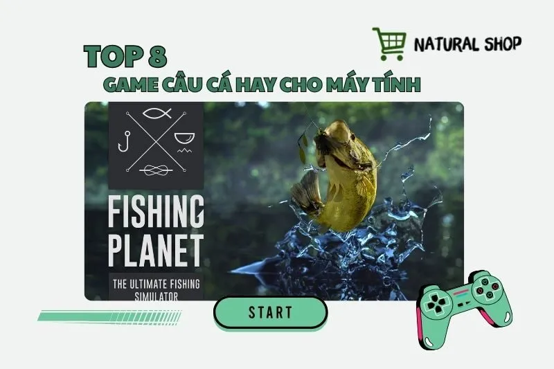 Top 8 game câu cá hay cho máy tính 2025 – Đồ họa siêu thực